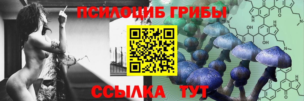 Галлюциногенные грибы Psilocybine cubensis  Галлюциногенные грибы ЛСД  Вход с VPN  Светлоград 